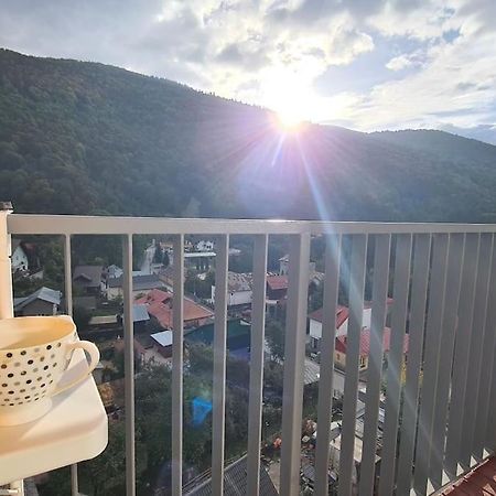 Apartament Vis De Sinaia ! Zewnętrze zdjęcie